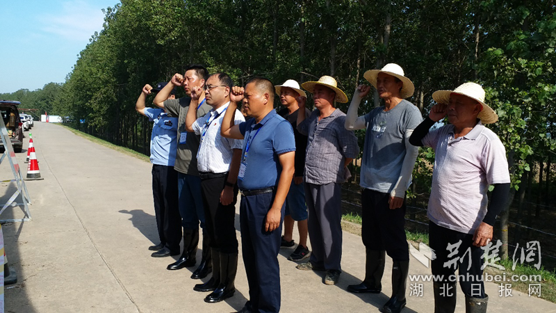 |武汉纱帽街各防汛一线党员重温入党誓词