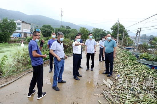 | 黄石市税务局：驻村救灾践初心 结对帮扶担使命