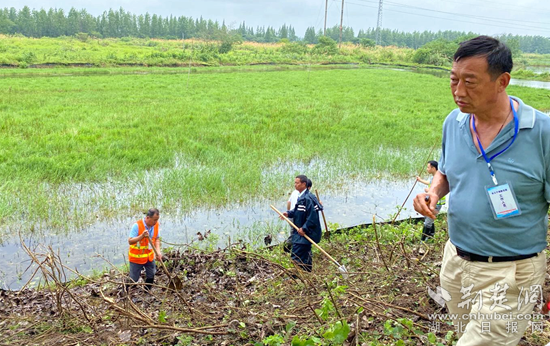 |浠水防汛一线党员：驻长江干堤 守一方安澜