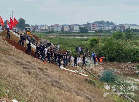 | 600突击队员“围堵”大冶湖熊家洲大堤管涌