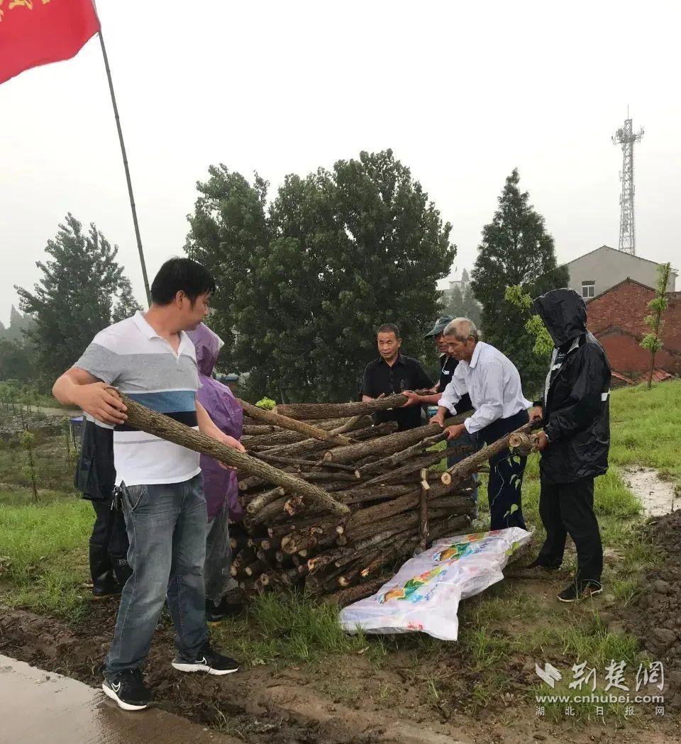 |图集：车都3400多名守堤人 用使命和担当筑牢“红色堤坝”