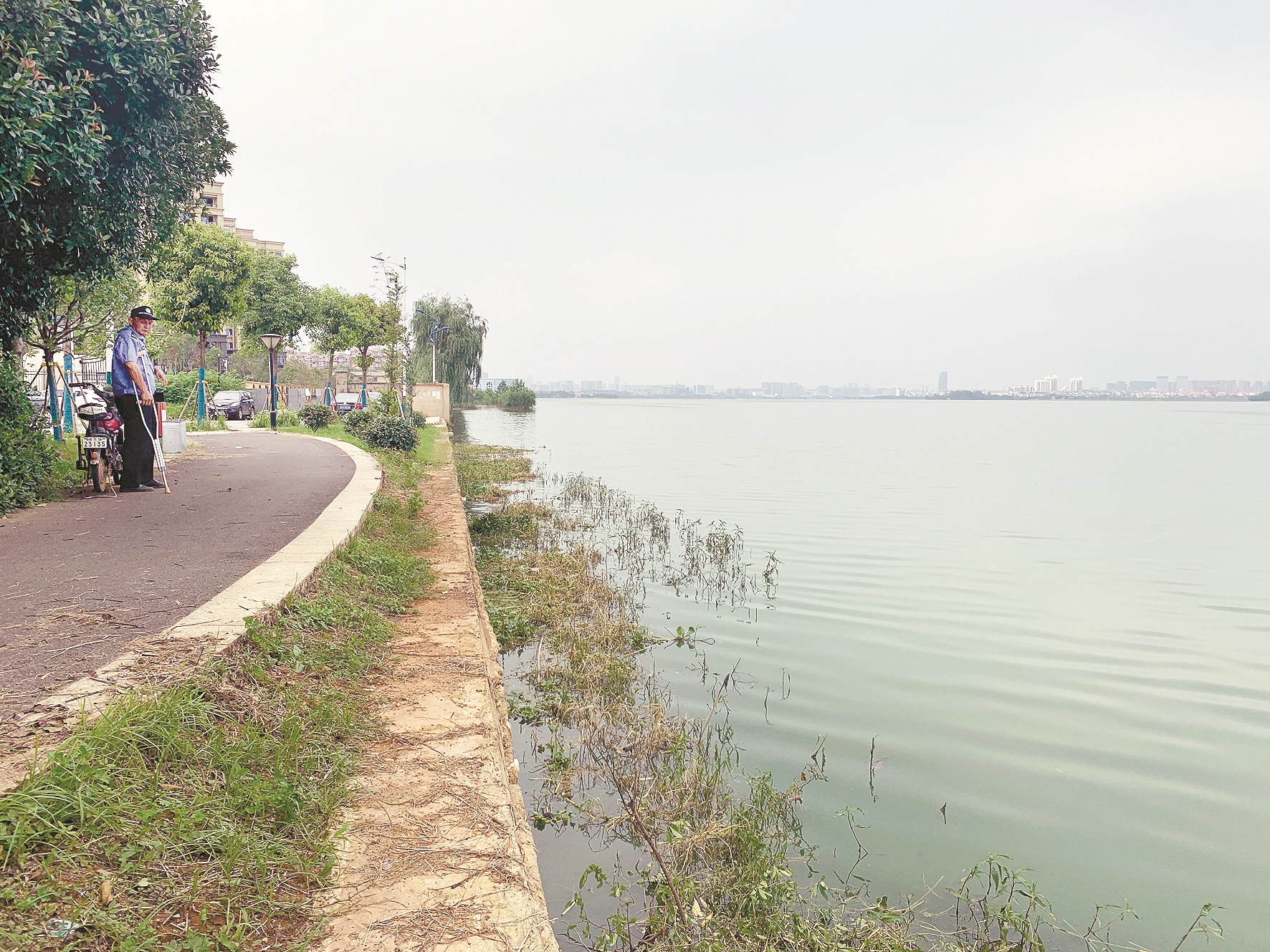 |湖水逼近绿道 居民心里不安 江夏经济开发区称会尽快加设栏杆