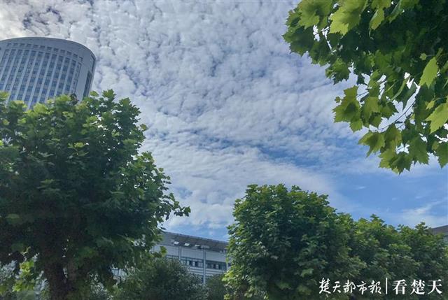 |久违的蓝天白云回来了！