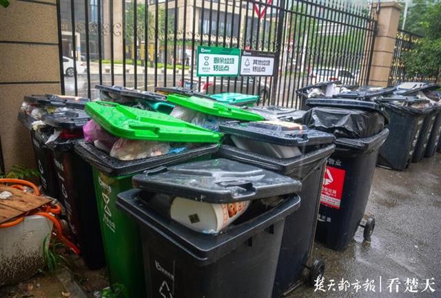 |小区车库出入口成垃圾存放点，物业：正寻求办法解决