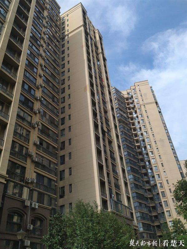 |悲！7岁男童从11楼坠落，身体遭栅栏刺穿送医后不治