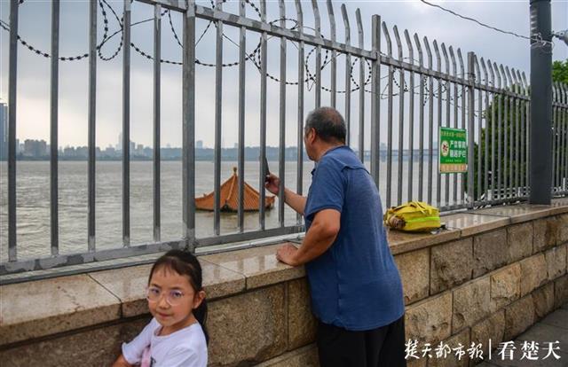 |黄花矶凉亭成“标尺”，长江水位降了