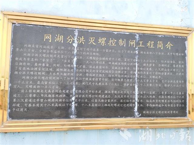 |富河已超1998年历史最高水位 阳新防汛应急响应升至Ⅰ级