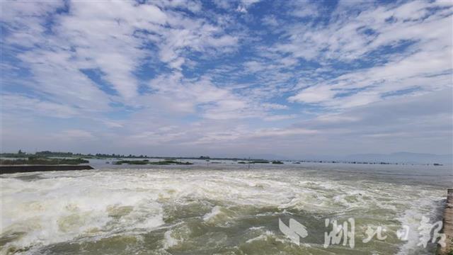 |阳新网湖分洪闸关闸 富河水位下降25厘米 网湖水位抬升1米