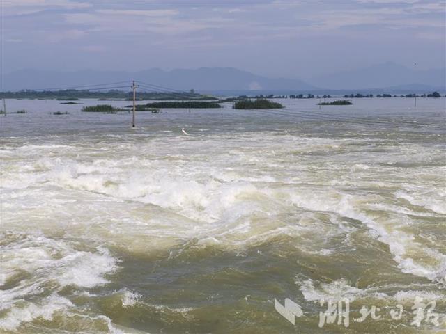 |阳新网湖分洪闸关闸 富河水位下降25厘米 网湖水位抬升1米