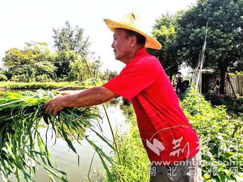 |就业扶贫看鄂州⑸精准脱贫户叶元池：我必须很努力，才能过上平凡人的生活