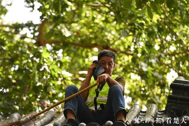 |黄鹤楼公园清理楼顶垃圾，还景区整洁（组图）