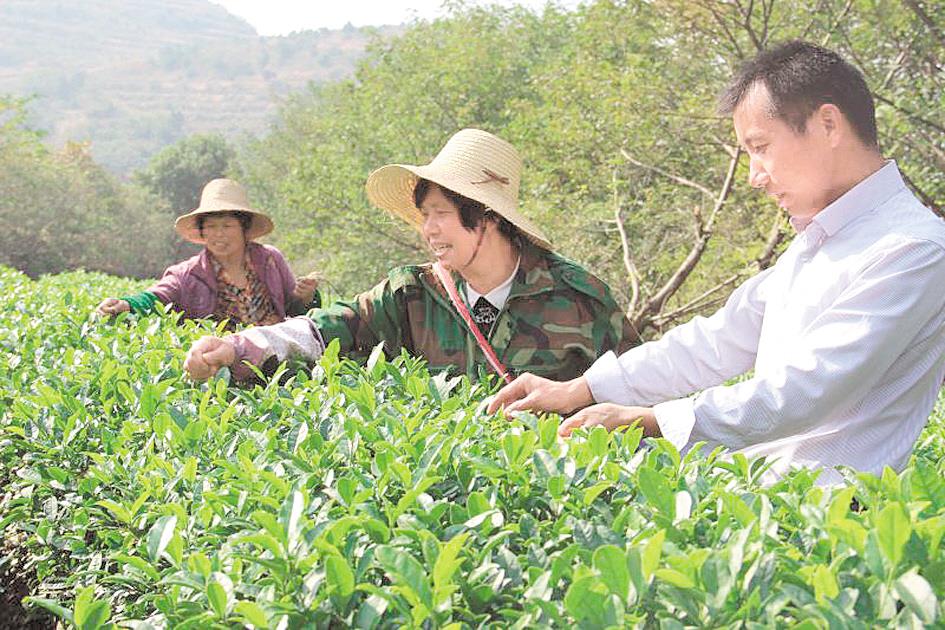 |新生代的“头雁” ——走近孝昌三位青年创业者