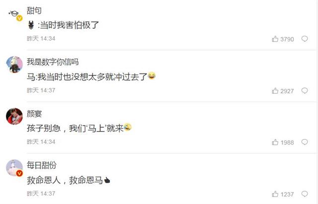 |神评论|一头在热搜上下不来的“猪”