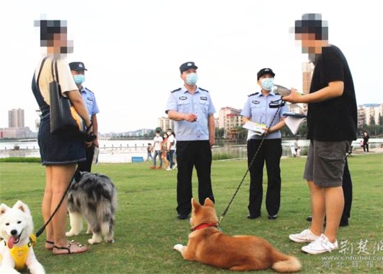 |鄂州深入推进文明养犬管理工作共建和谐家园