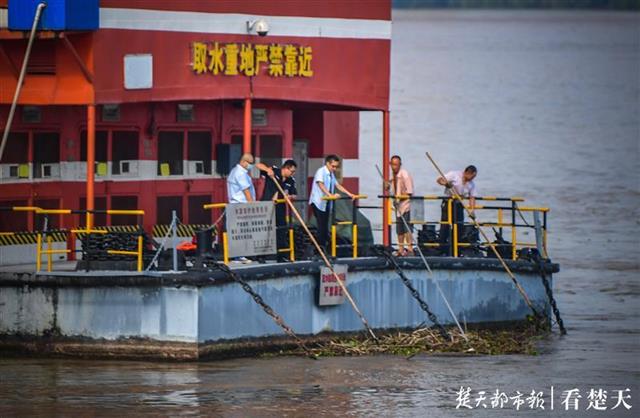 |铁钩、钉耙和长竹杆齐上阵，清除取水船附近垃圾