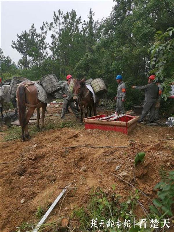 |高空“走钢丝”，刘家山风电场架起110千伏上网传输线路