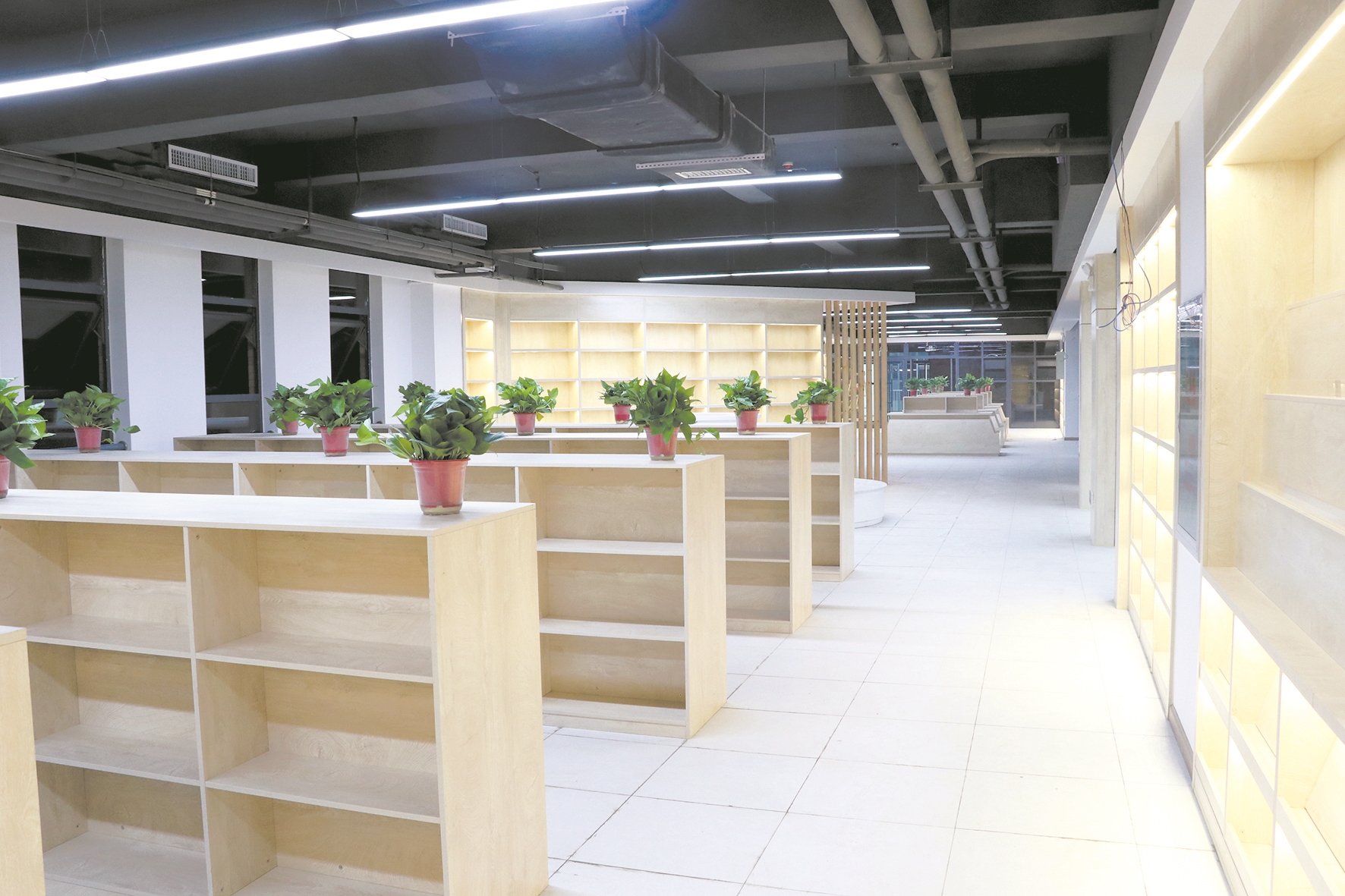 |国家建设部绿色校园示范工程 荆州沙市沙北实验学校今秋投用