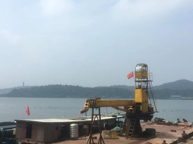 |昔日打鱼人变身护渔人，全身心守护母亲河精灵