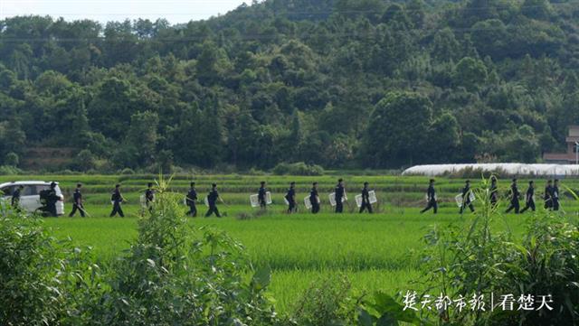 |连环作案致三死一伤，江西命案嫌犯落网时劝民警“不要急”