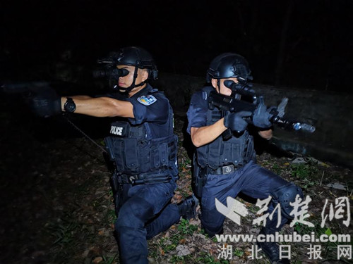 |襄阳特警开展夜间实战化专项训练