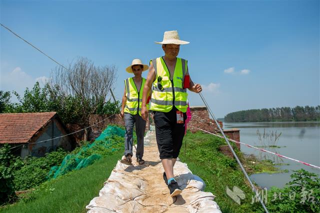 |烈日下，巡堤人坚守防汛一线（组图）