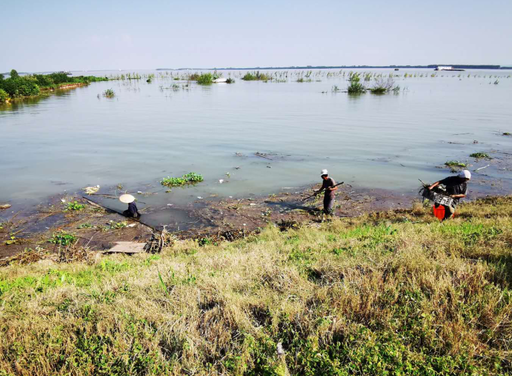 |保护母亲河打造最美长江岸线 监利打捞江面白色垃圾100吨