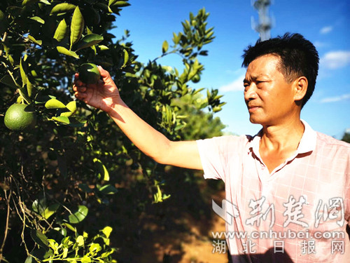 |就业扶贫看鄂州⑷精准脱贫户潘四清：娶了媳妇，买了轿车