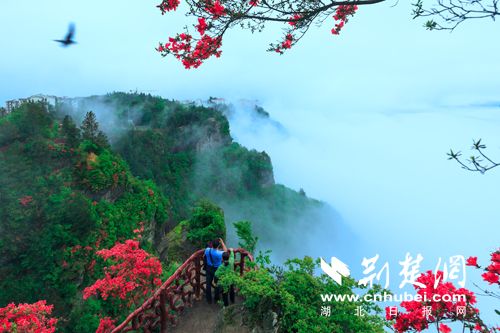 |利川苏马荡打造摄影天堂和创作高地（组图）