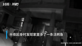 |神评论|学霸都是不刻意的