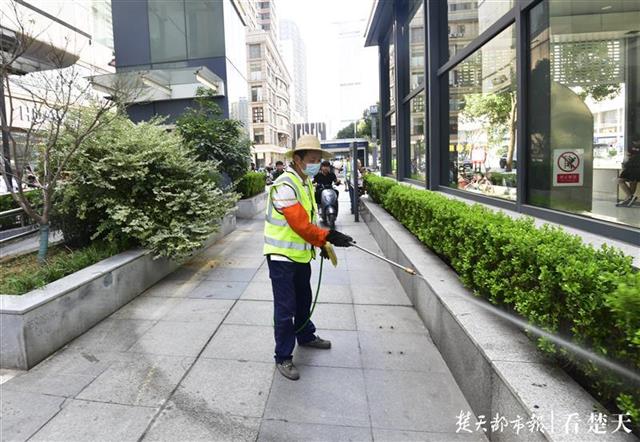 |喷洒无公害农药，武汉园林开展秋季杀灭虫卵行动