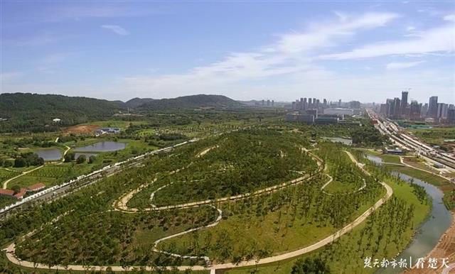 |消纳建筑弃土打造休闲公园武汉首座大型堆山造景工程月底完工