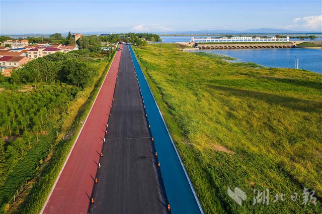 |洪湖环湖绿道雏形初显
