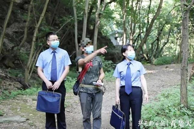 |为寻创作灵感，退休美术老师捕鸟获刑，这次他又上山了...