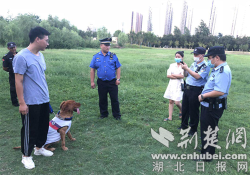 |襄阳高新城管开展专项整治行动 倡导市民文明养犬