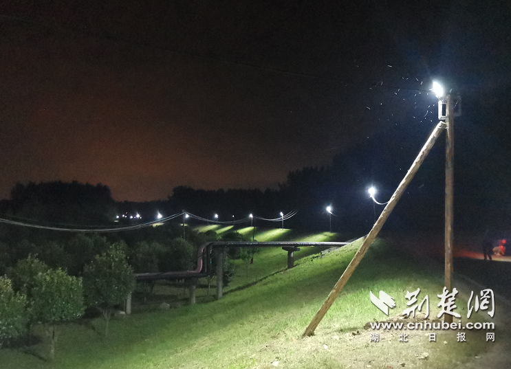 |长江堤边90盏防汛应急照明灯今日“退役”