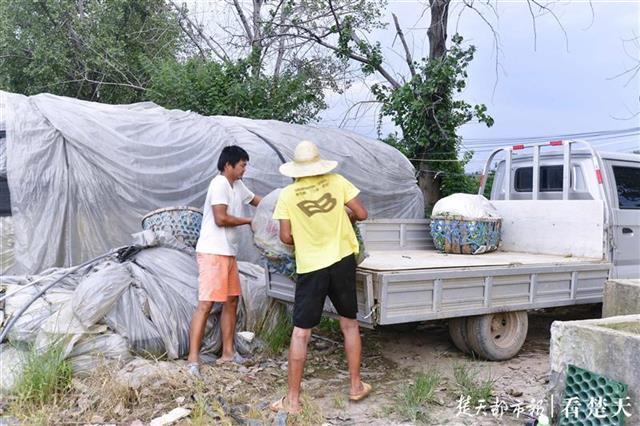 |一棵蔬菜的流通之旅：见过5000多个“凌晨4点的武汉”