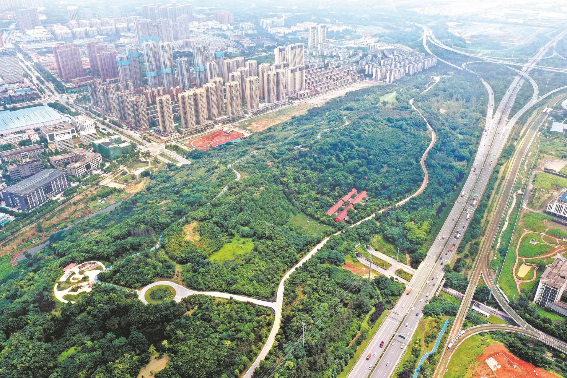 |修旧如旧恢复自然元气武汉75座破山变成绿山