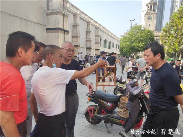 |千鸣百啭莺歌燕舞，武汉关玩赏鸟市场周末热闹非凡