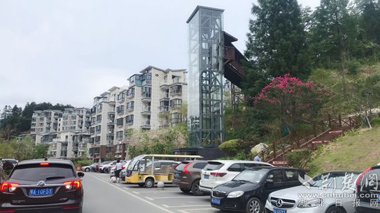 |英山桃花溪康养小镇“21天森林康养体验”启动