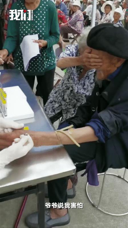 |神评论|一头在热搜上下不来的“猪”