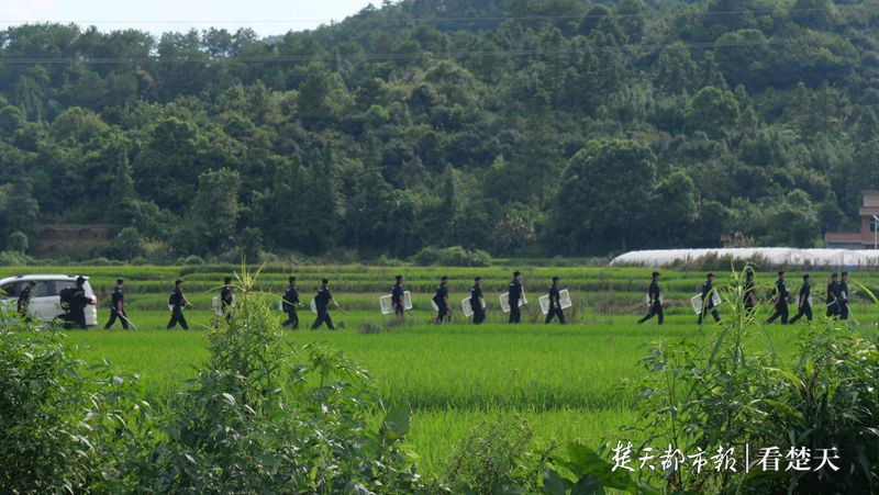 |曾春亮被包围，民警持喇叭喊话：立即下山，投案自首！