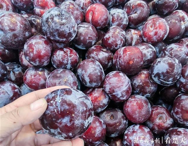 |每斤不到2元！黑布林跻身低价水果行列