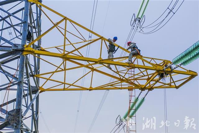 |高空中，他纵身抓住500千伏输电线