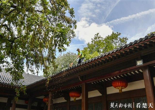 |黄鹤楼公园清理楼顶垃圾，还景区整洁（组图）