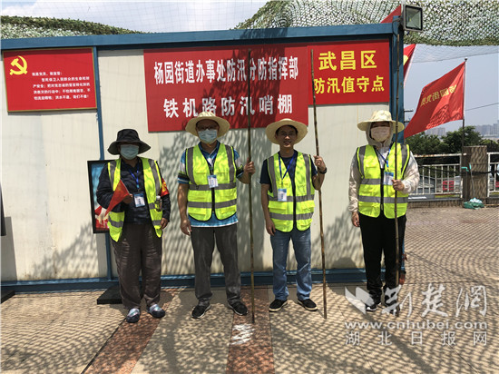 |国家统计局湖北调查总队防汛党员下沉社区 筑牢杨园街防汛堤坝