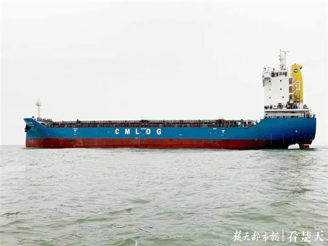 |武船造700TEU多用途集装箱首制船在南通交付