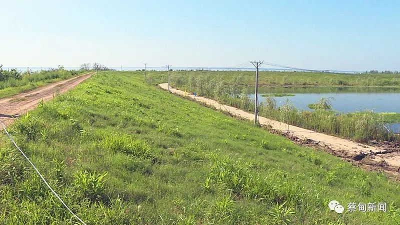 |蔡甸退伍军人防汛大堤上奏响“八一”赞歌