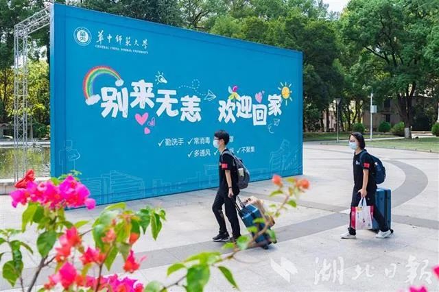 |终于，他们回来了！还上了热搜