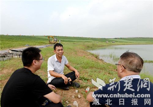 |150亩“闲地”变辣椒“高产地” 老河口油房湾村踏上小康路