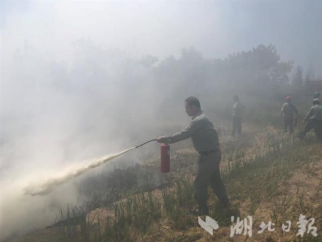 |大火袭来浓烟滚滚 25名电力人奋勇灭火保供电线路安全